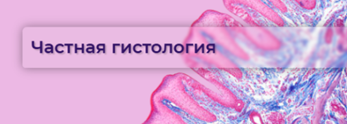 image_card